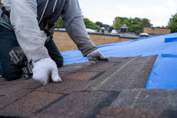 Best Gutter Installation and Roofing  in Davenport, WA